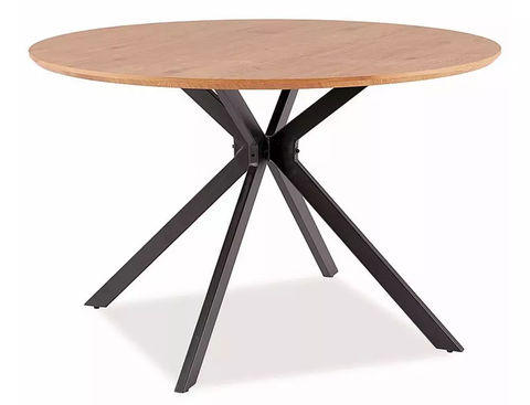 Stalas Aster 120