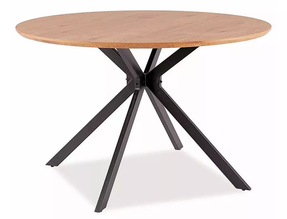 Stalas Aster 120
