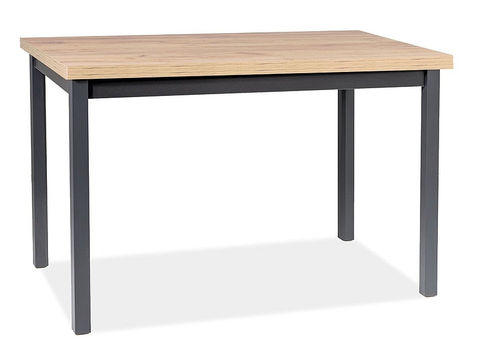 Stalas Adam 100x60